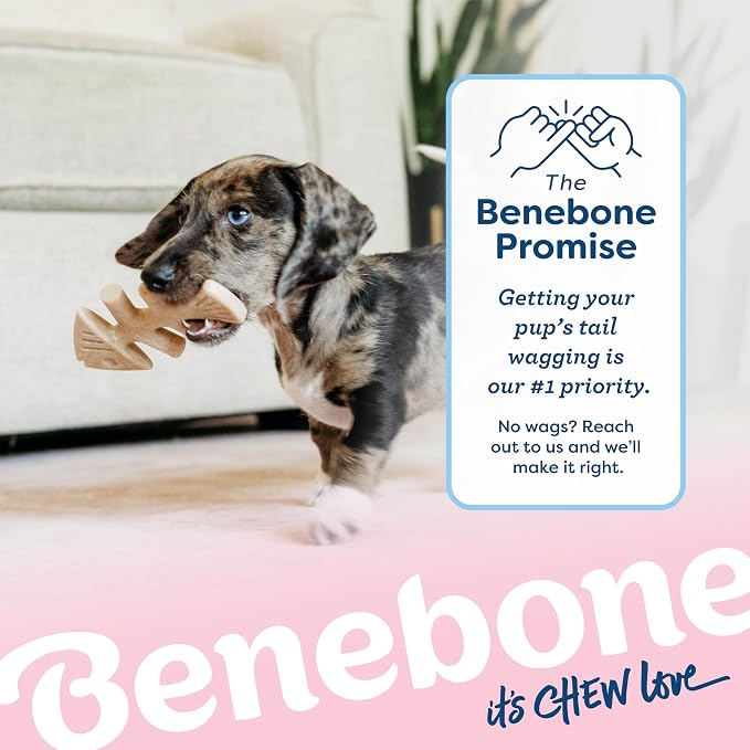 Benebone Puppy Fishbone Dog Chew Toys, Softer - Image 6