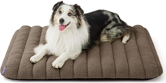 LE SURE Cute Orthopedic Dog Bed Large Sized Dog, Waterproof Chic Flat Pet Beds by Lesure