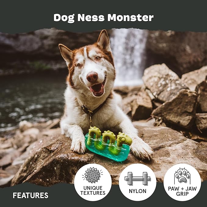 Barkbox Dogness Monster Super Chewer Dog Chew Toy - Image 4