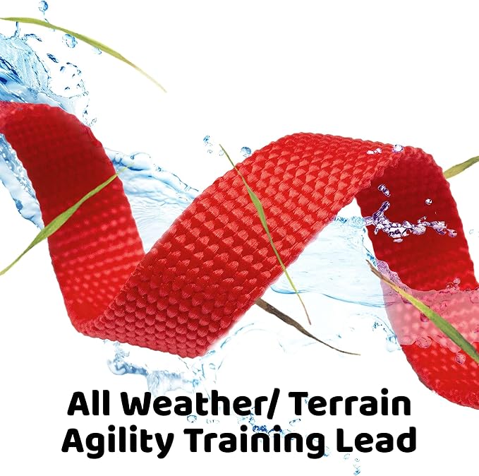 Long Dog Puppy Obedience Recall Training Agility Lead, Leash GREEN, or ORANGE - Image 4
