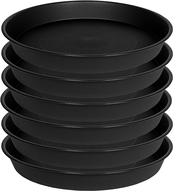 6 Pack 6 inch Plant Saucer Tray, 4 6 8 10 12 15 17 19 inch Plant Saucers by Bleuhome