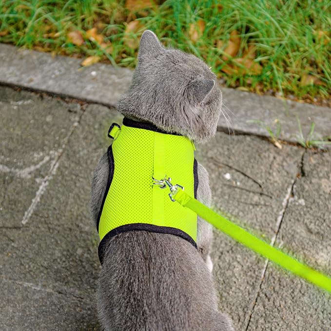 PUPTECK Soft Mesh Cat Vest Harness and Leash Set Puppy Padded Pet Harnesses - Image 6