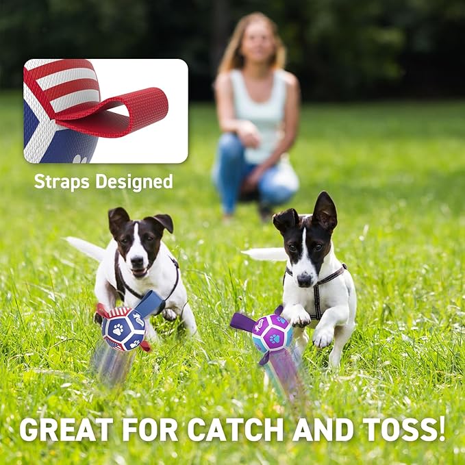 QDAN 2 Pack Small Dog Toys, Puppy Balls, Dog Balls - Image 3
