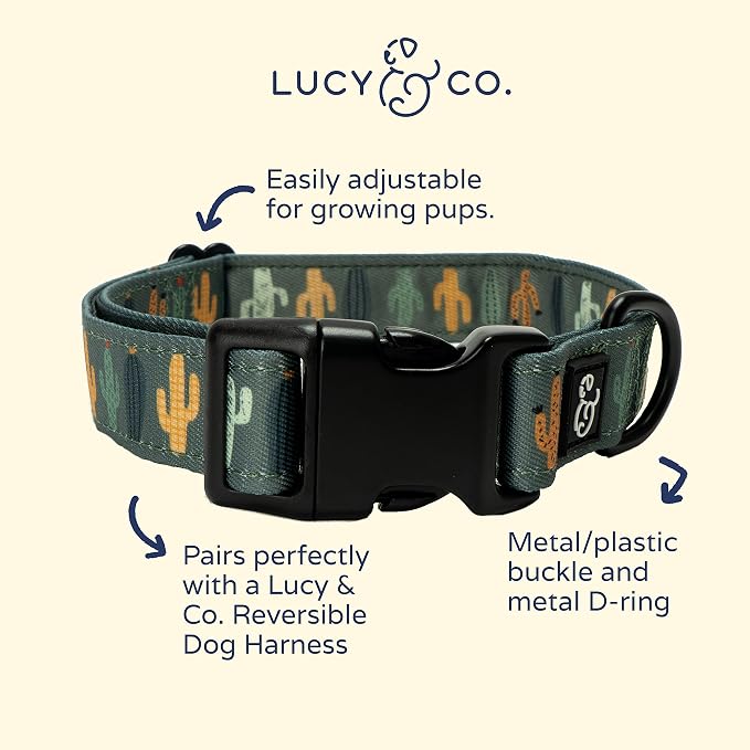 Lucy & Co. Looking Sharp Dog Collar - Image 2