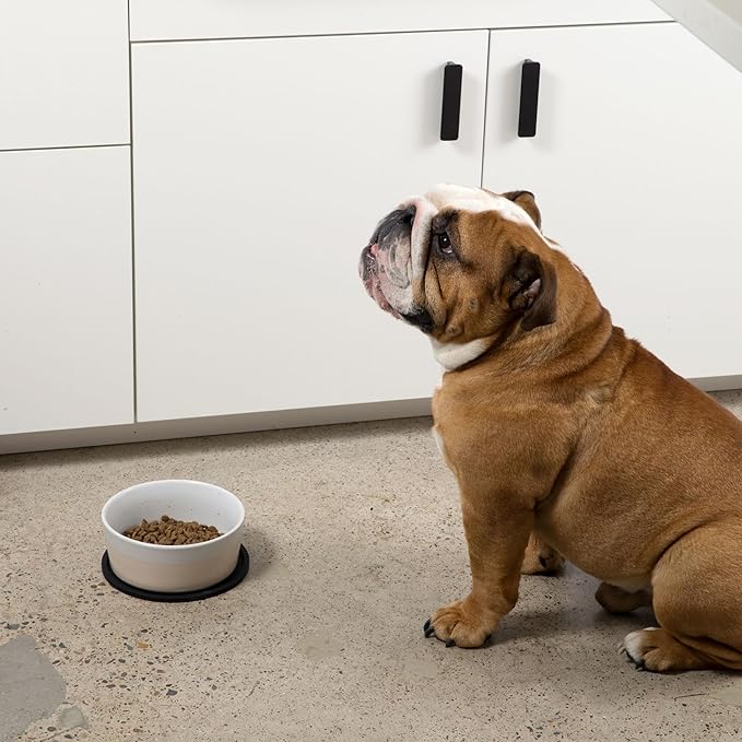 Waggo Habit Silicone Dog Placemat – Set of 2 Modern Heavyweight Silicone Dog - Image 9