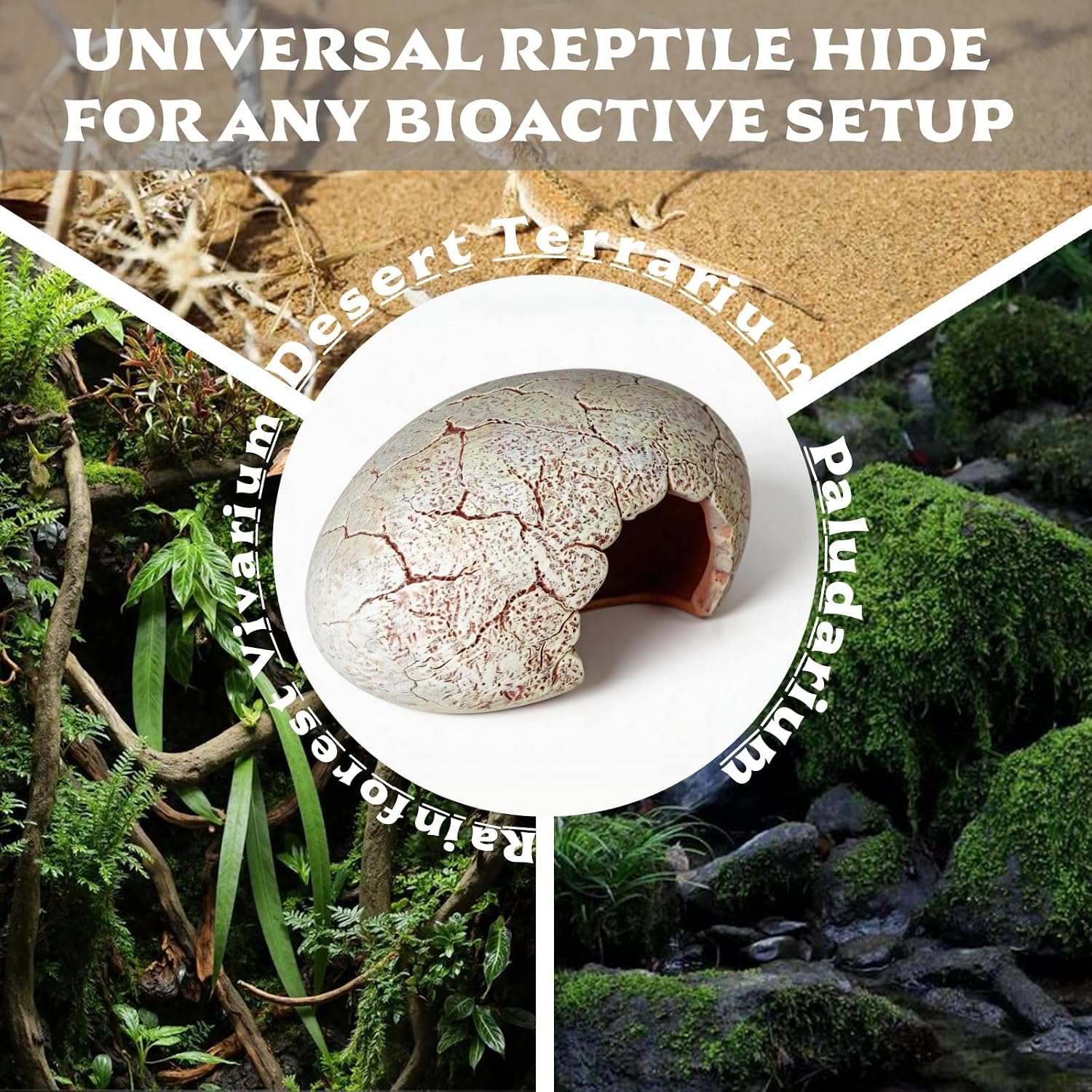 Small Dinosaur Egg Reptile Hide for Leopard Gecko - GlobalHabitat Supply