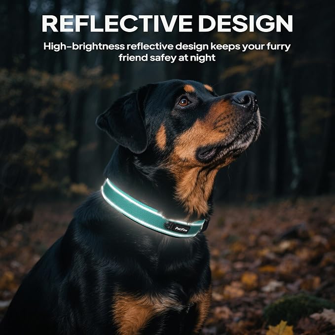 PetiFine Dog Collar for Large Dogs, Neoprene Padded and Adjustable, Reflective - Image 5