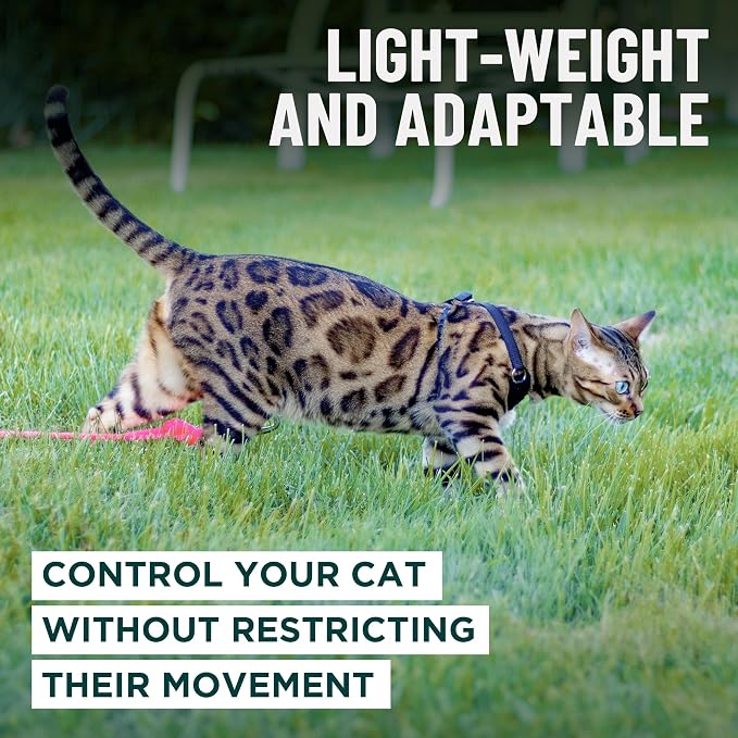 Houdini™ Escape Proof Cat Harness and Leash Set by OutdoorBengal – Tactical Vest - Image 7