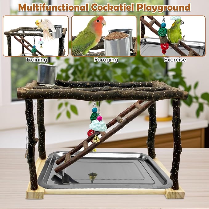 Tfwadmx Parrots Playstand Bird Play Gym Cockatiel Playground Wood Perch Stand - Image 6