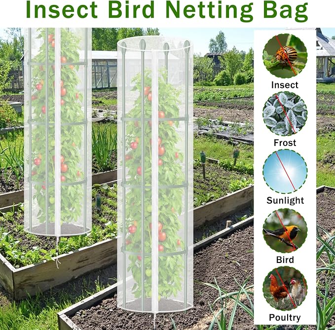 3 Pcs Round Tomato Cage Bird Netting Plant Cover, Trellis Plants - Image 6