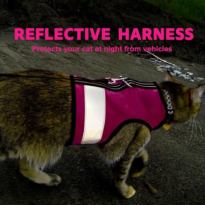 Kitty Holster Reflective Cat Harness – High-Visibility Cat Harness - Image 6