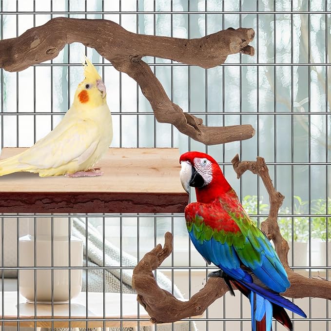 Parrot Perch Bird Perch Stand Set Natural Wild Wood Grape Sticks Paw Grinding - Image 4