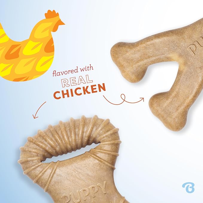 Benebone Puppy 2-Pack Dental Chew/Wishbone Real Chicken Tiny - Image 2