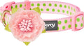 Blueberry Pet Adjustable Flocking Dog Collar by BlueberryPet