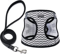 BOOMIBOO Dog Harness with Leash Set, No Pull Adjustable Reflective Step-in by BOOMIBOO