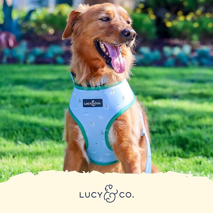 Lucy & Co. Set Sail Reversible Harness, Walking Halter - Image 5