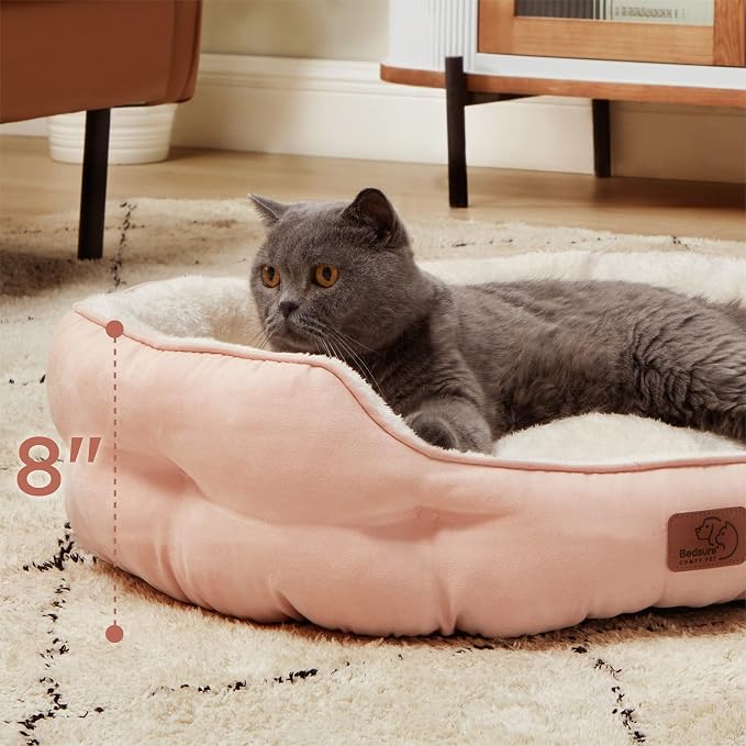 Bedsure Dog Beds for Small Dogs - Image 3