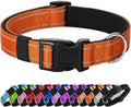 Reflective Dog Collar Padded