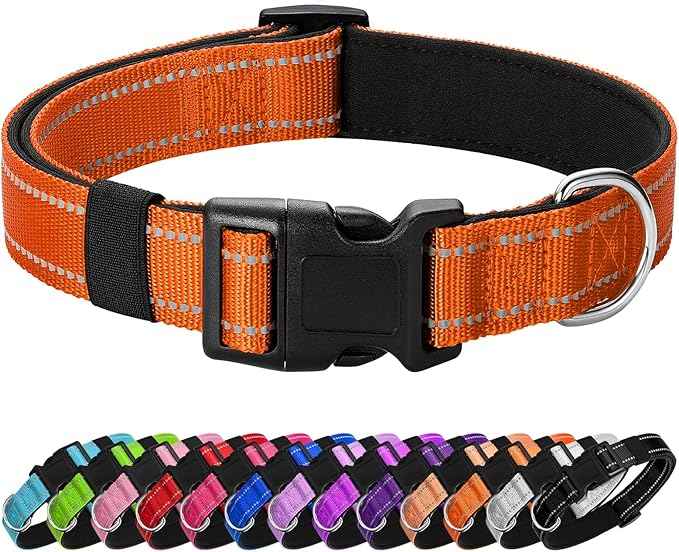 Reflective Dog Collar Padded