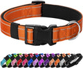 Reflective Dog Collar Padded by Penseepet