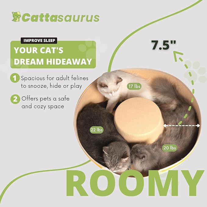 Cattasaurus Peekaboo Cat Cave Donut - Image 5