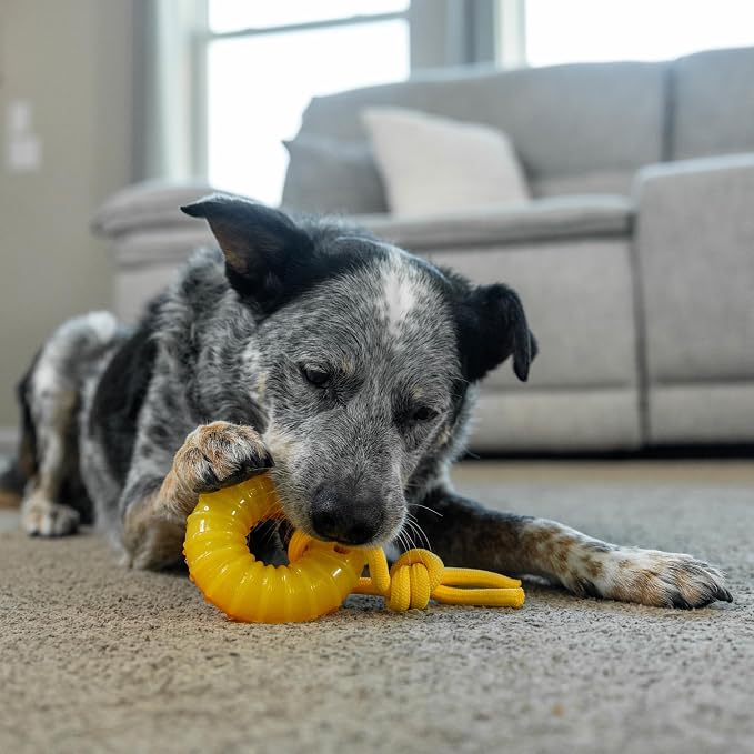 Outward Hound Gummiez Peach Ring 2-in-1 Dental Dog Chew Toy and Treat Stuffer - Image 8