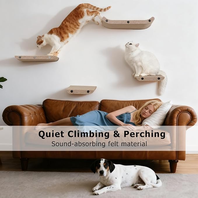 Wall Mounted Cat Shelves and Perches, Scratcher Cat Beds & Furniture - Image 3