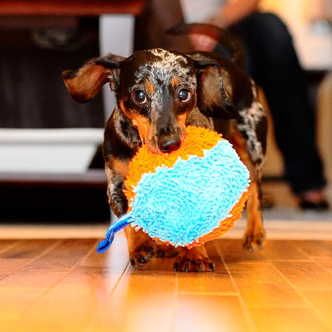 Chuckit! Indoor Fetch Shaker for Dogs - Image 4