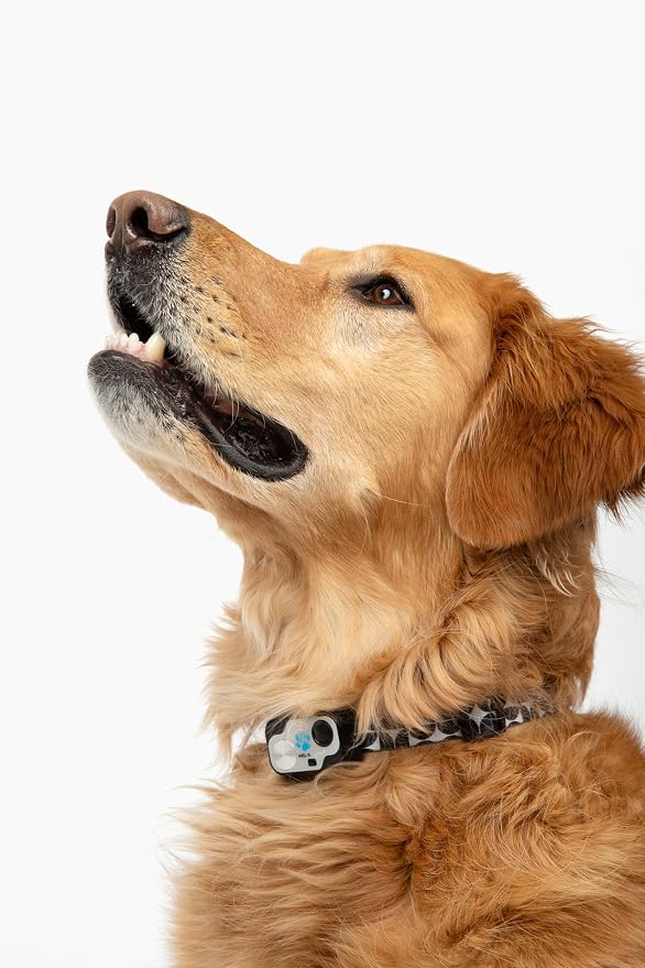 MS-5 Designer Series, Premium Performance Automatic Pet Door Collar by High - Image 2