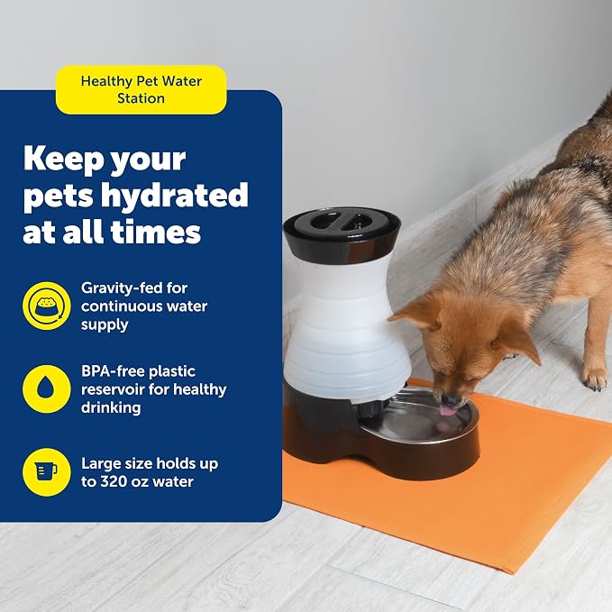 PetSafe Healthy Pet Water Station - Image 2