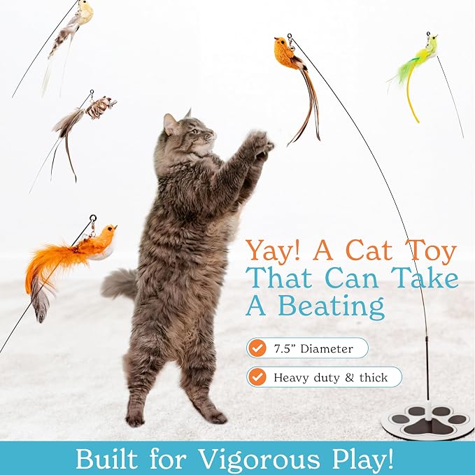 Interactive Bird Simulation Cat Toy Set - Image 3