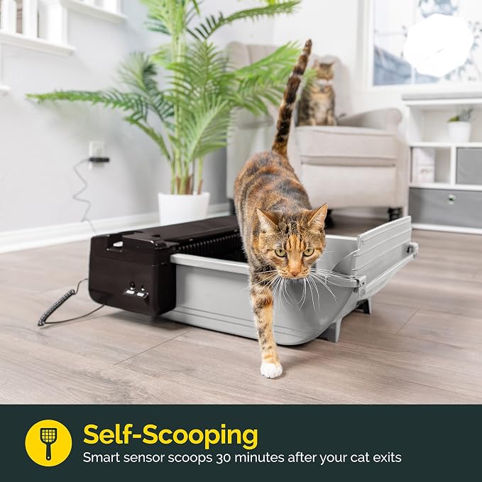 Pet Zone Self Cleaning Semi Automatic Cat Litter Box - Image 2