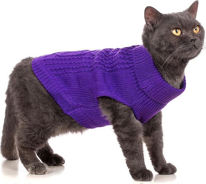 Stretchy Cat Sweater - Image 4