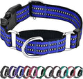 Hikiko Martingale Collar for Dogs Reflective Nylon Dog Collar by Hikiko