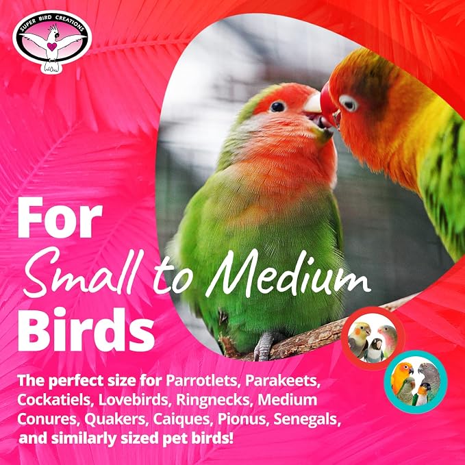 Super Bird Creations SB896 Seeing Stars Bird Toy - Image 4