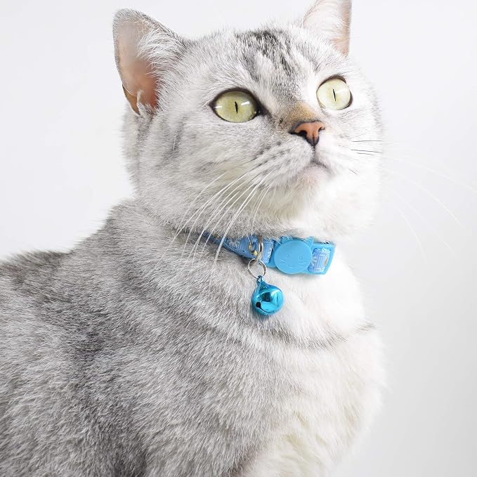 3 PCS Breakaway Cat Collar - Image 2
