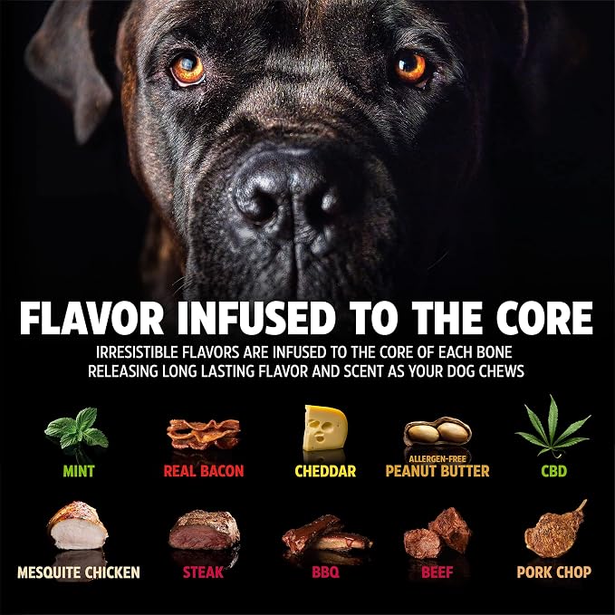 Pet Qwerks Original BarkBone - Image 5