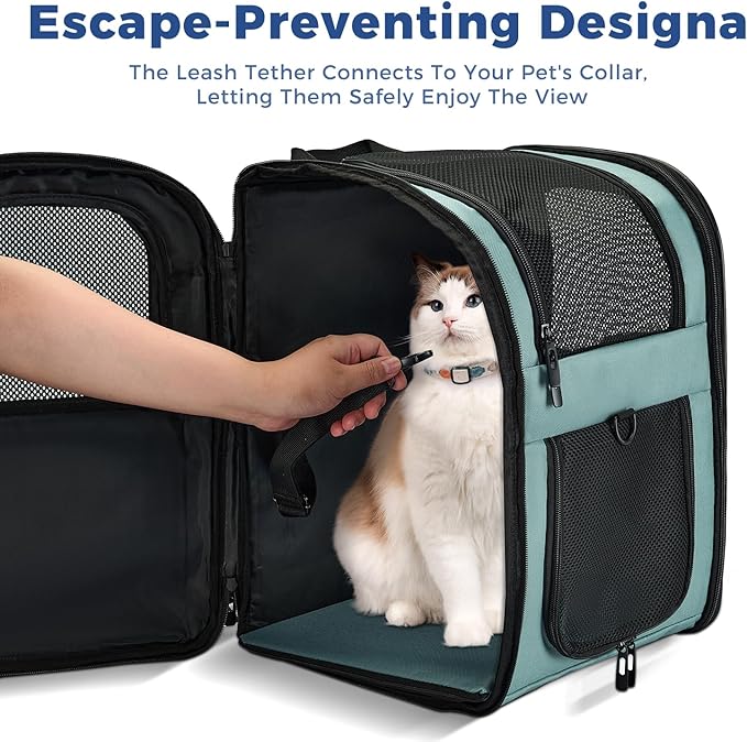 Apollo Walker Dog & Cat Carrier Backpack - Image 3