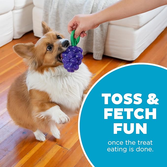 Outward Hound Dental Grapes Dog Toy & Treat Stuffer, 6″ x 3″ Grape-Scent - Image 5