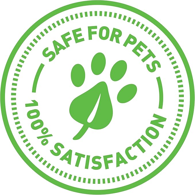Petlinks Mystery Motion Concealed Electronic Motion Cat Toy, Battery Powered - Image 14