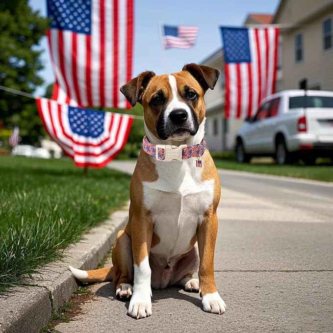 DOGWONG American Flag Dog Collar, Patriotic Independence Day Dog Collar Soft
