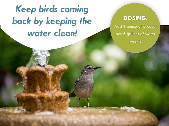 Bird Bath & Fountain Maintenance - Image 3