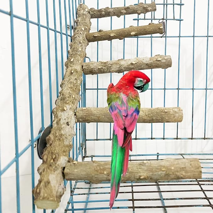 Allazone 3 PCS Nature Wood Bird Ladder Perch Nature Wood Stand Parrot Chew Toy - Image 7