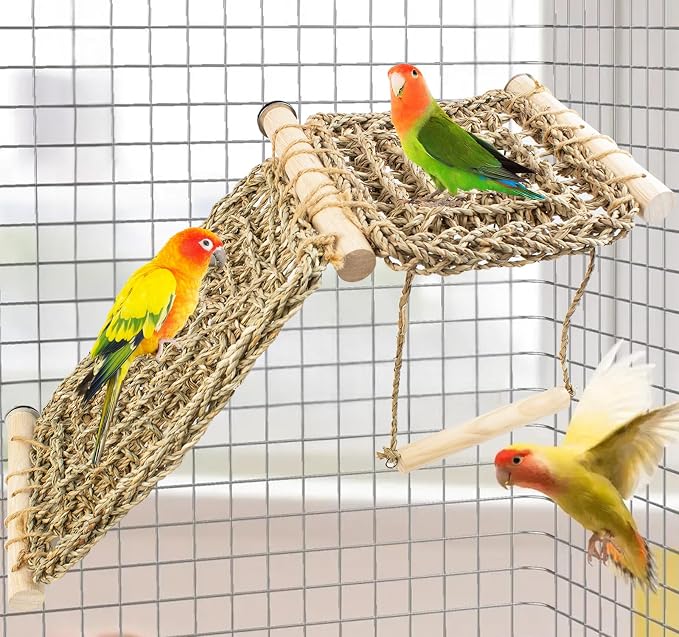 FlidRunest Bird Perch Platform Swing by FlidRunest