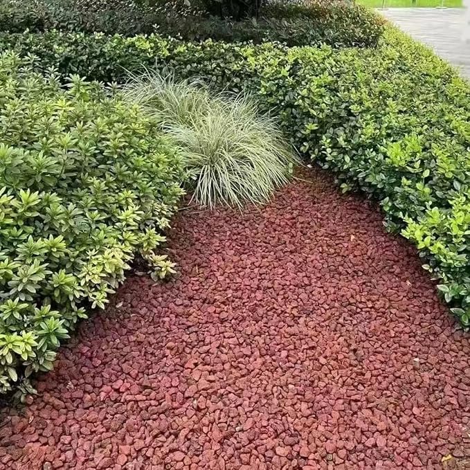 5LB Succulent and Cactus Gravel Pebbles, 1/5 Inch Natural Decorative Polished - Image 7