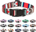 Mercano Adjustable Dog Collar by Unknown