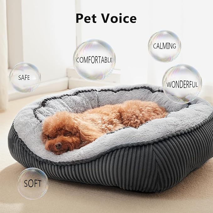 SIWA MARY Small Dog Beds for Small Dogs Washable, Rectangle Dog Bed Medium Size - Image 2