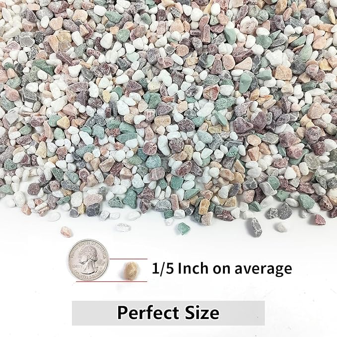 2LB Succulent and Cactus Gravel Pebbles, 1/5 Inch Natural Decorative Polished - Image 2