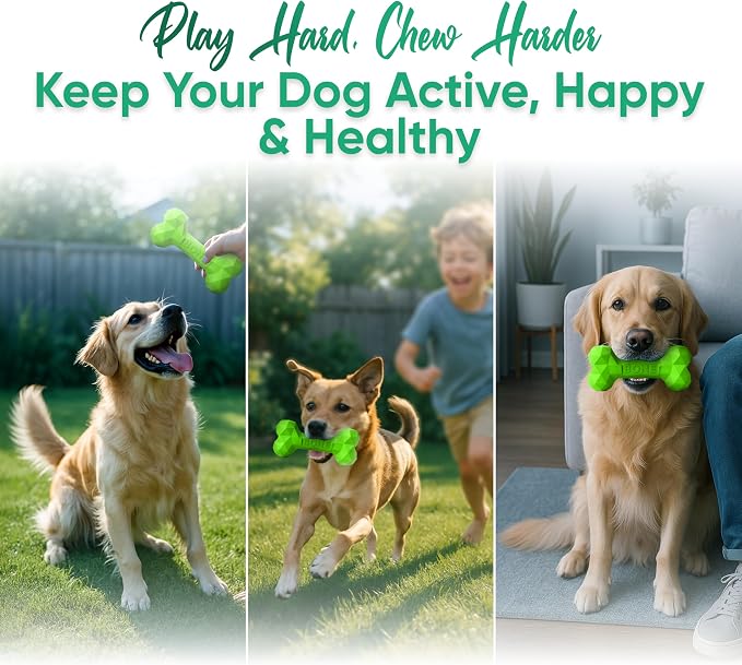 Natural Rubber Dog Chew Bone – Treat-Dispensing, Tough & Indestructible Chew - Image 7
