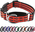 Hikiko Martingale Dog Collars Reflective Nylon Dog Collar by Hikiko